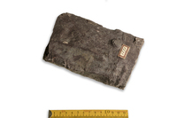 F 01272
<br/>
<br/>
<em></em>